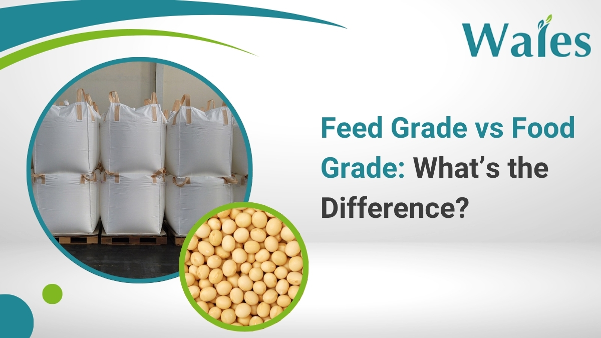 Feed Grade vs Food Grade: What’s the Difference?